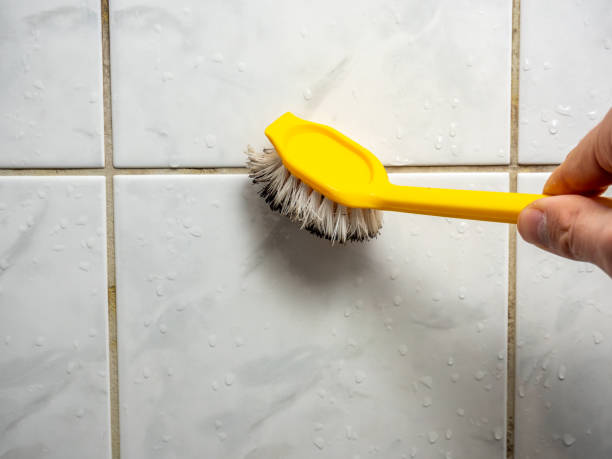 Best Toxic Mold Removal  in Sand Ridge, NY