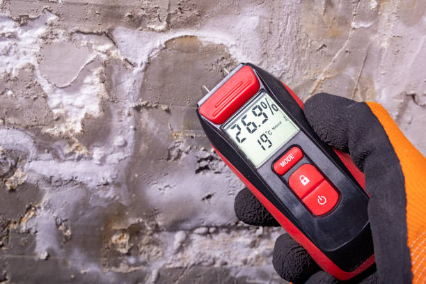 Best Mold Removal Near Me  in Sand Ridge, NY