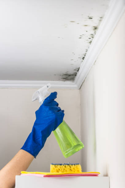 Best Mold Testing  in Sand Ridge, NY