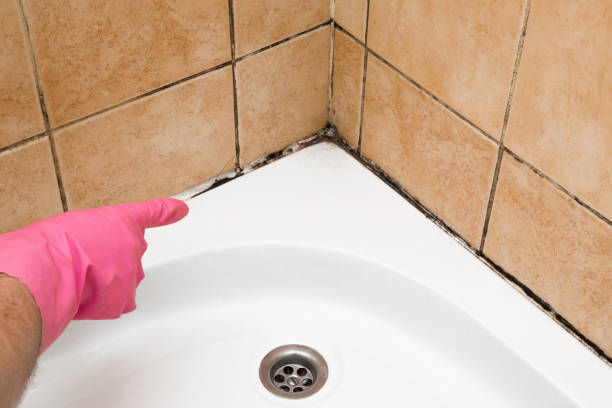 Best Emergency Mold Removal  in Sand Ridge, NY